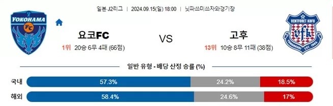 요코.jpg
