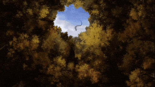 뱀대처방법.gif